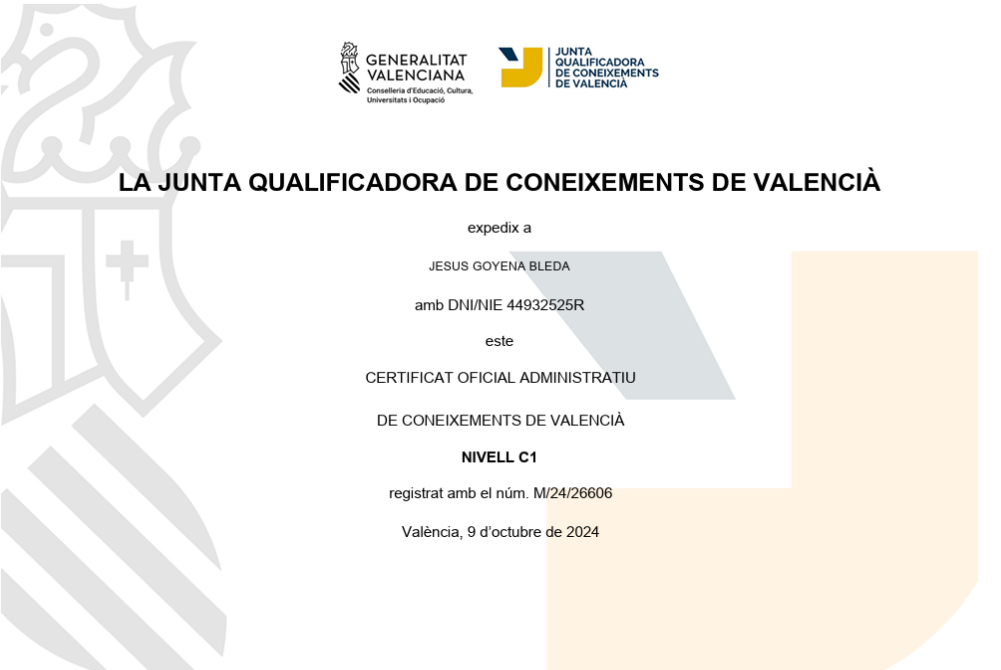 Vista previa del certificado 5