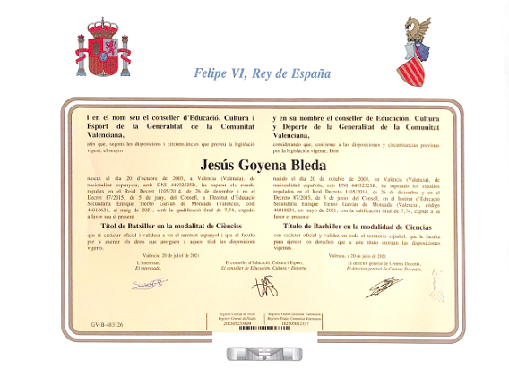 Vista previa del certificado 5